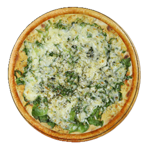 Escarola